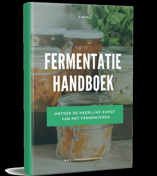 Cursus Fermenteren: Maak de Lekkerste Creaties Zelf!