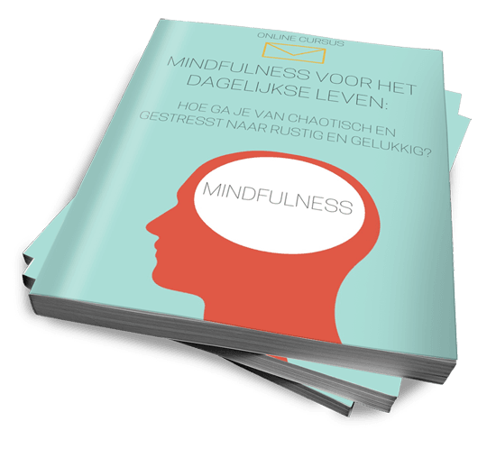 Mindfulness voor het Dagelijkse leven