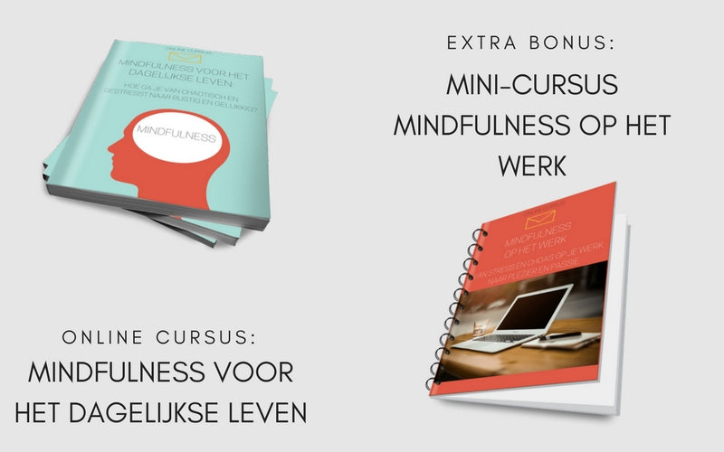 Mindfulness voor het Dagelijkse leven