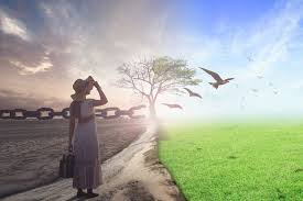 Herstel van Narcistisch Misbruik: Stap in je Kracht en Vrijheid - TrendNest